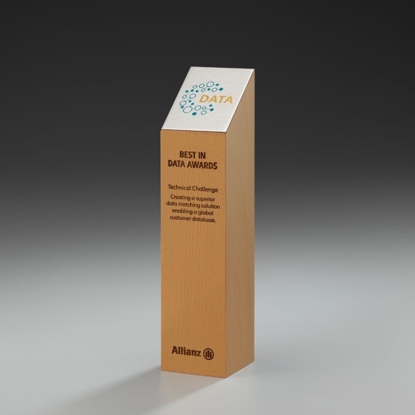 Timber Lectren Award aus Trophäe aus Holz (Buche)