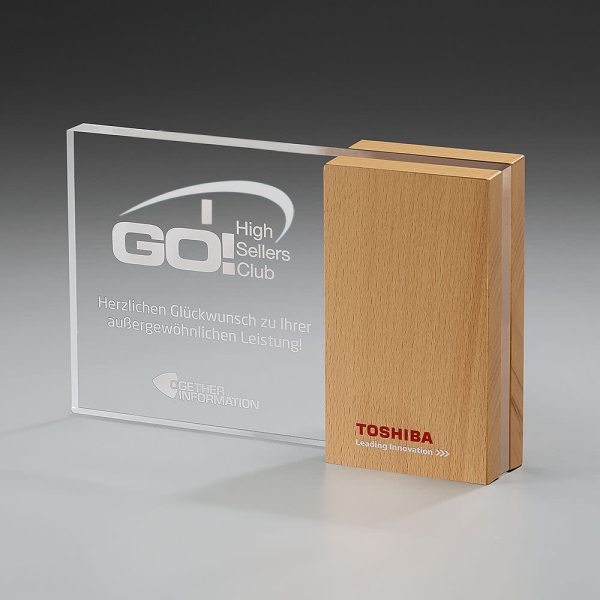 Wooden Side Award Acrylglas mit Holz