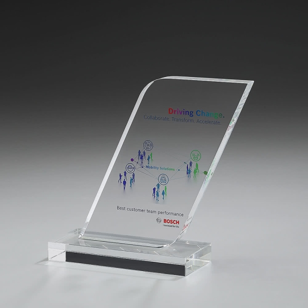 Fin Kristallglas Award mit farbigem Druck