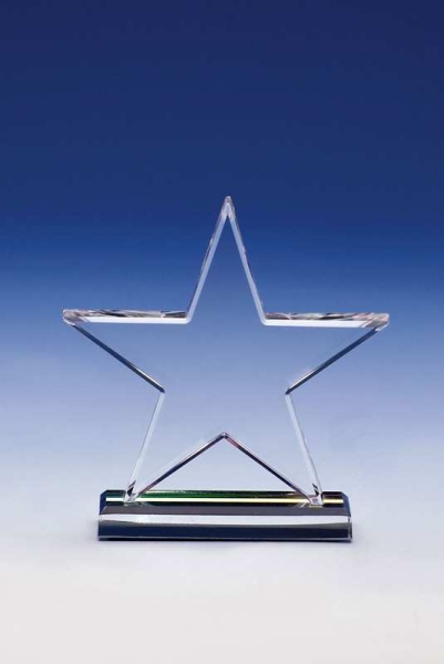 Dallas Stern Award