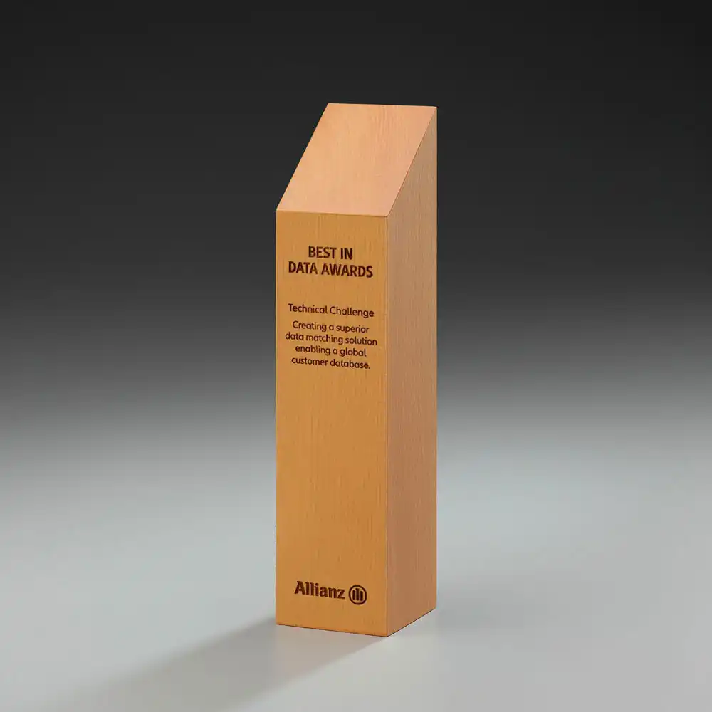 Timber Leblanc Award Timber Leblanc Award