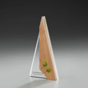 Pendant Award mit Buchenholz