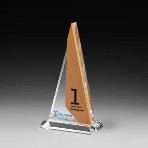 Pendant Tower Award mit Buchenholz