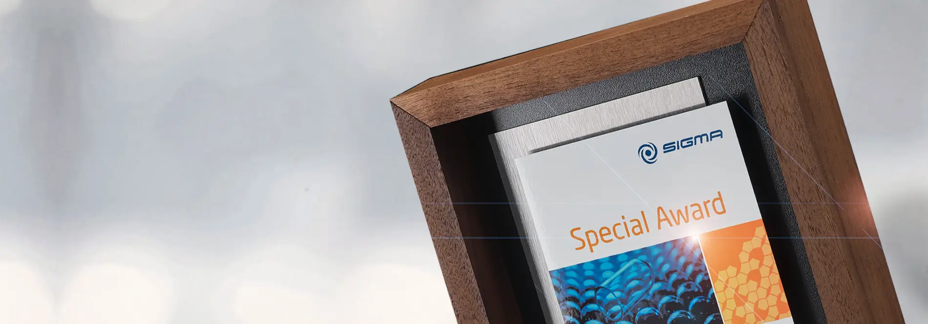 Displays aus Holz oder Acrylglas
