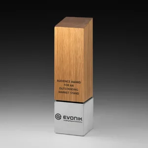 Foundation Summit Award - Buchenholz auf Sandsteinsockel