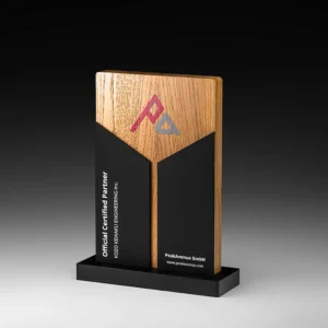 Timber Shinepoint - schwarzes Acryl mit Eichenholz